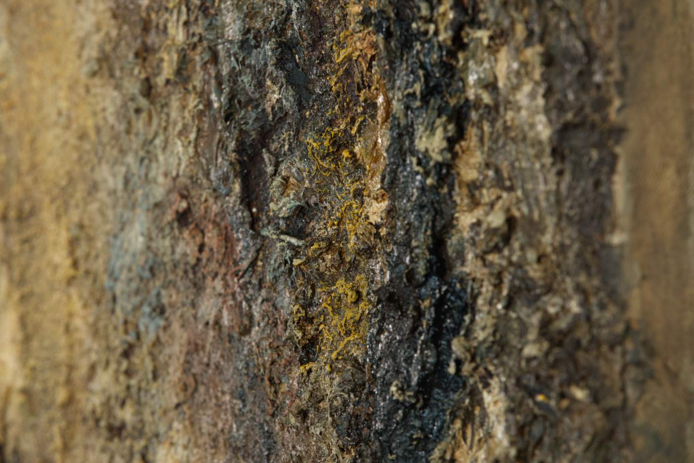 Strata (Detail) by Liza Libenko | Galerie REINBERG | Foto: Johannes Starmühler Strata (Detail) by Liza Libenko | Galerie REINBERG | Foto: Johannes Starmühler
